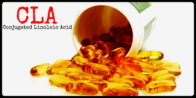 Resultado de imagen de quemagrasas cla